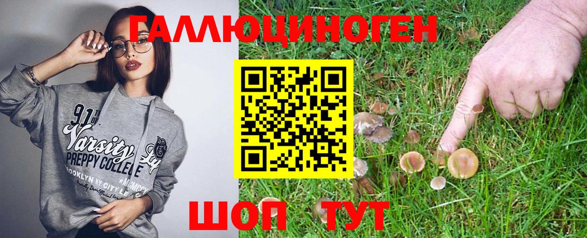 Сызрань  Галлюциногенные грибы Magic Shrooms  Вход с VPN 
