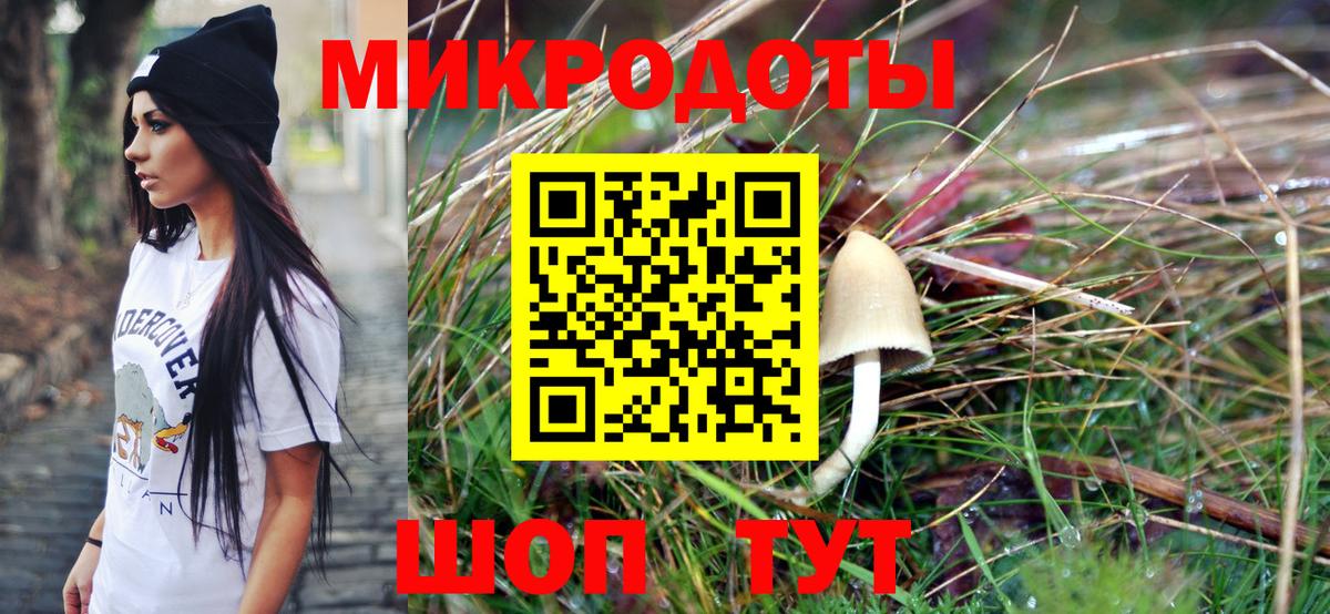Галлюциногенные грибы Psilocybine cubensis Сызрань